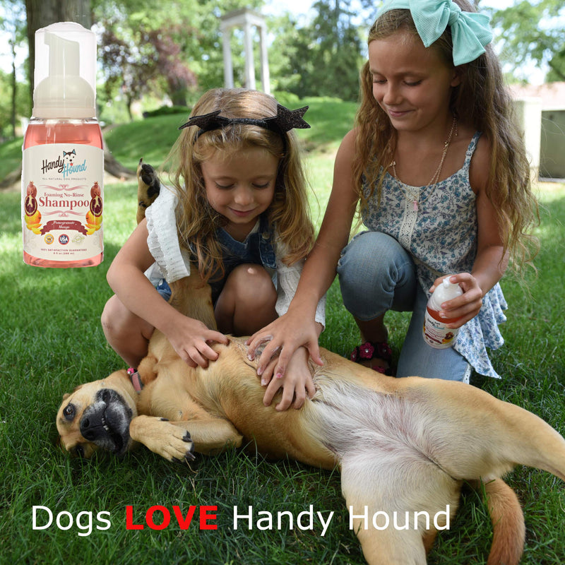 [Australia] - Handy Hound Foaming No Rinse Shampoo for Dogs or Cats | All-Natural Dry Waterless Pet Shampoo to Safely Remove Pet Odors | 9oz/266ml, Made in USA. Coconut Ginger Almond 