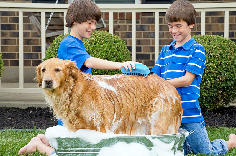 [Australia] - Pets First Pet Bath & Massage Brush Great Grooming Comb for Messaging and Shampooing Dogs, Cats, Small Animals with Short or Long Hair - Soft Rubber Bristles Gently Removes Loose & Shed Fur from Your 