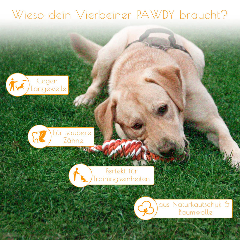 PAWDY dog rope with ball for fun and dental care - Robust dog toy for medium & large dogs - Chew toy with nubs made of natural rubber - Ball rope throwing toy for dogs (orange) Orange - PawsPlanet Australia