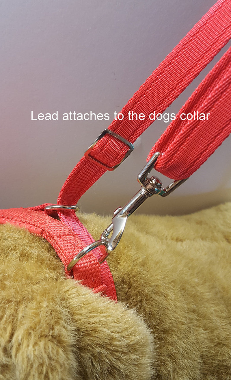 3 Meter CUSHION WEB FIGURE OF EIGHT DOG HEADCOLLAR WITH CLIP TO COLLAR MADE FROM SOFT CUSHION WEBBING STOPS PULLING!! (CERISE) - PawsPlanet Australia