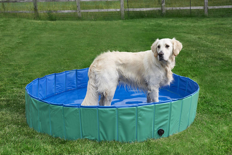 Pet Mania - XL Green Foldable Pet Swimming Paddling Pool for Dogs - 160x30cm - PawsPlanet Australia