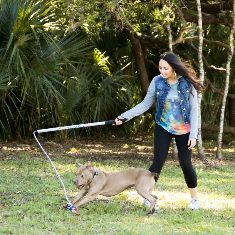 Squishy Face Studio Flirt Pole V2 with Lure - Durable Dog Toy for Fun Obedience Training & Exercise, Rainbow Tie Dye, Regular - 36 inch - PawsPlanet Australia