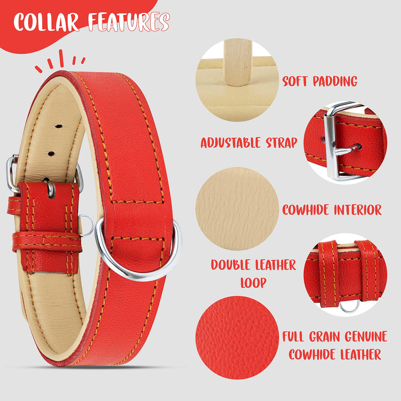 Riparo Genuine Leather Adjustable K-9 Dog Collar with Additional Reinforcement (XXL: 5CM Wide for 60.9CM - 73.7CM Neck, Red) XXL - PawsPlanet Australia