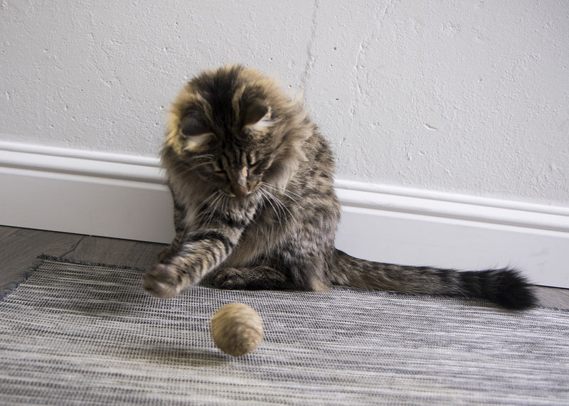 [Australia] - SmartyKat Compressed Catnip Cat Toy Kiss Cat Ball 