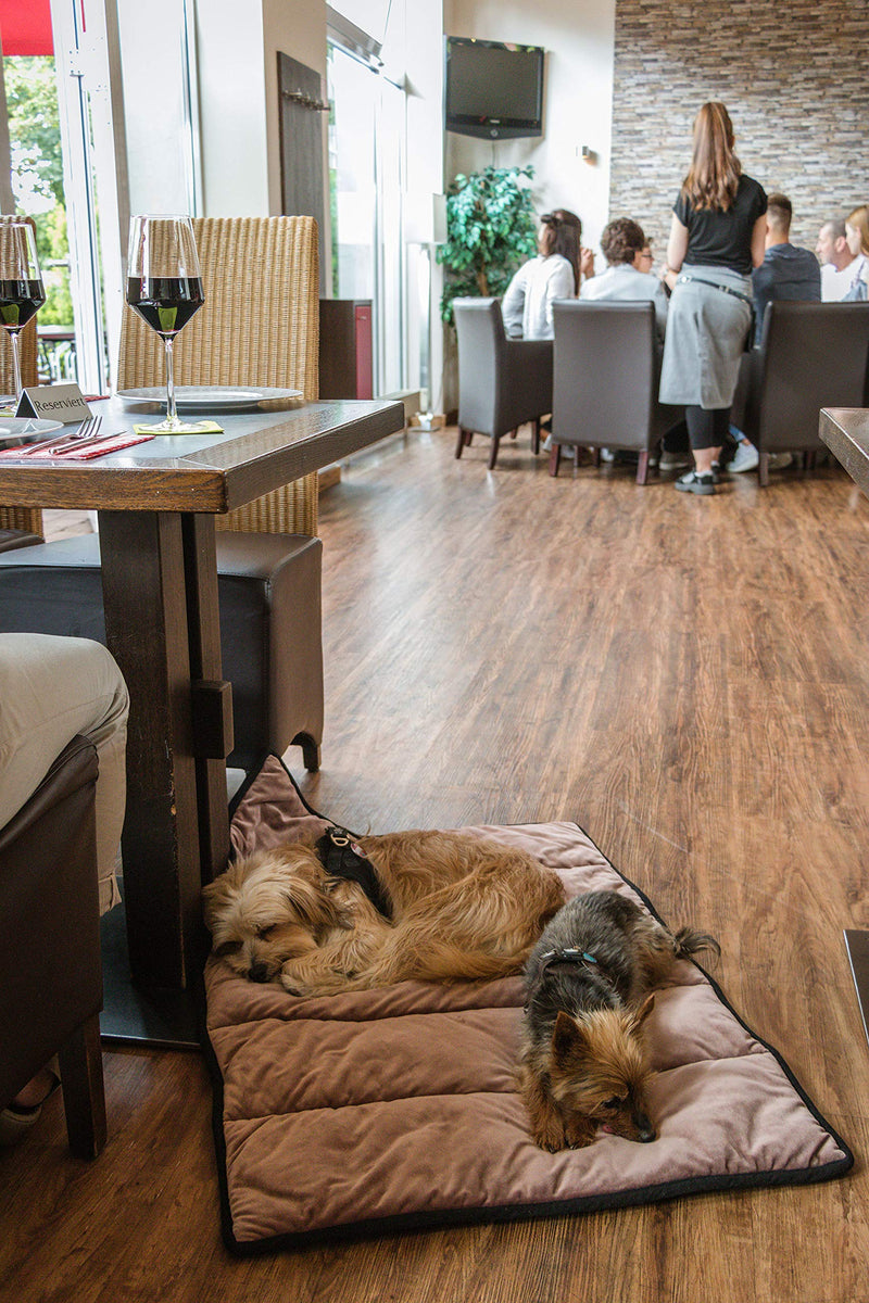 TrendPet My Restaurant Blanket - Travel Blanket for Dogs and Cats (M 75x55cm) M 75x55cm - PawsPlanet Australia