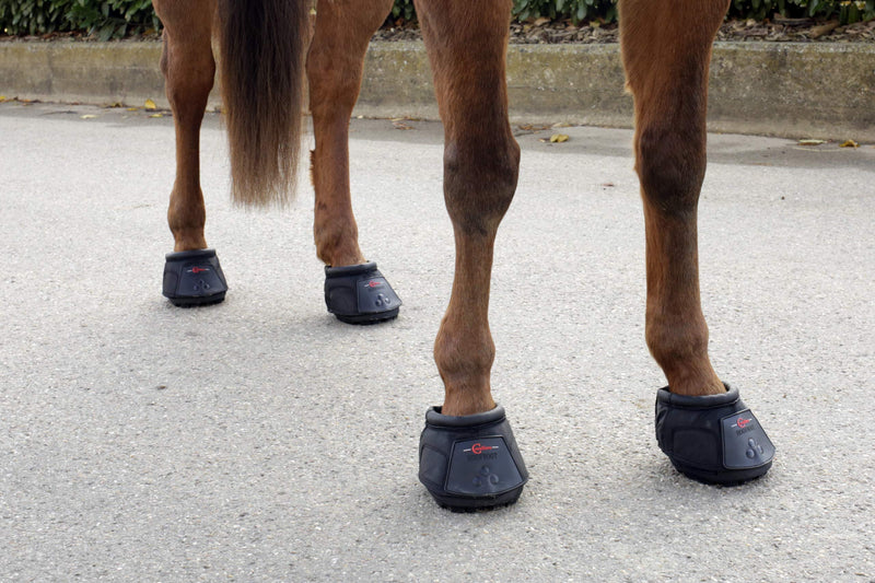 Covalliero 3222178 hoof shoe size. 10 - PawsPlanet Australia