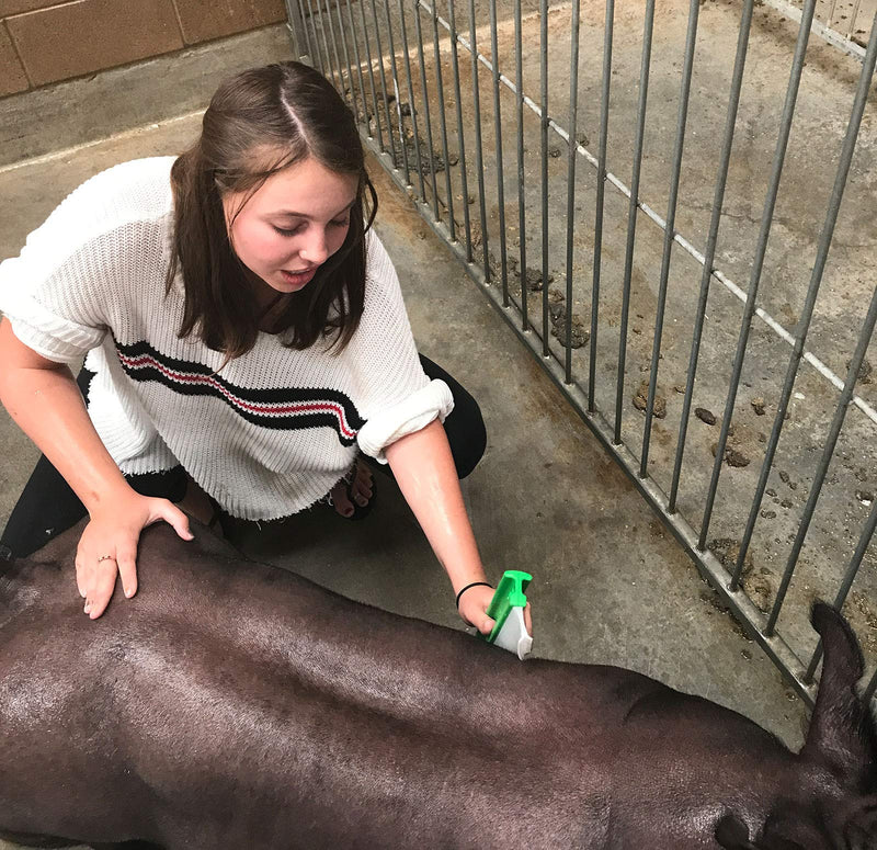 [Australia] - One Pass Horse & Livestock Body Blade, Sweat Scraper 