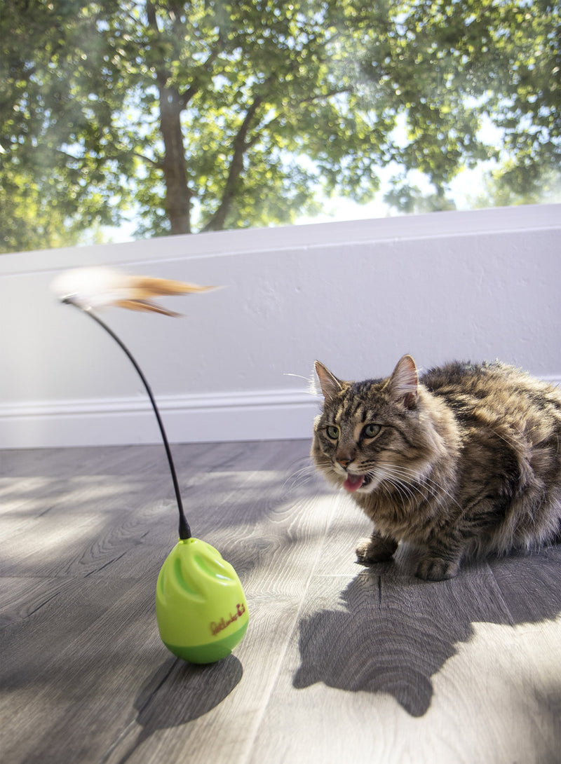 [Australia] - Petlinks Electronic Motion Cat Toys Wild Thing 