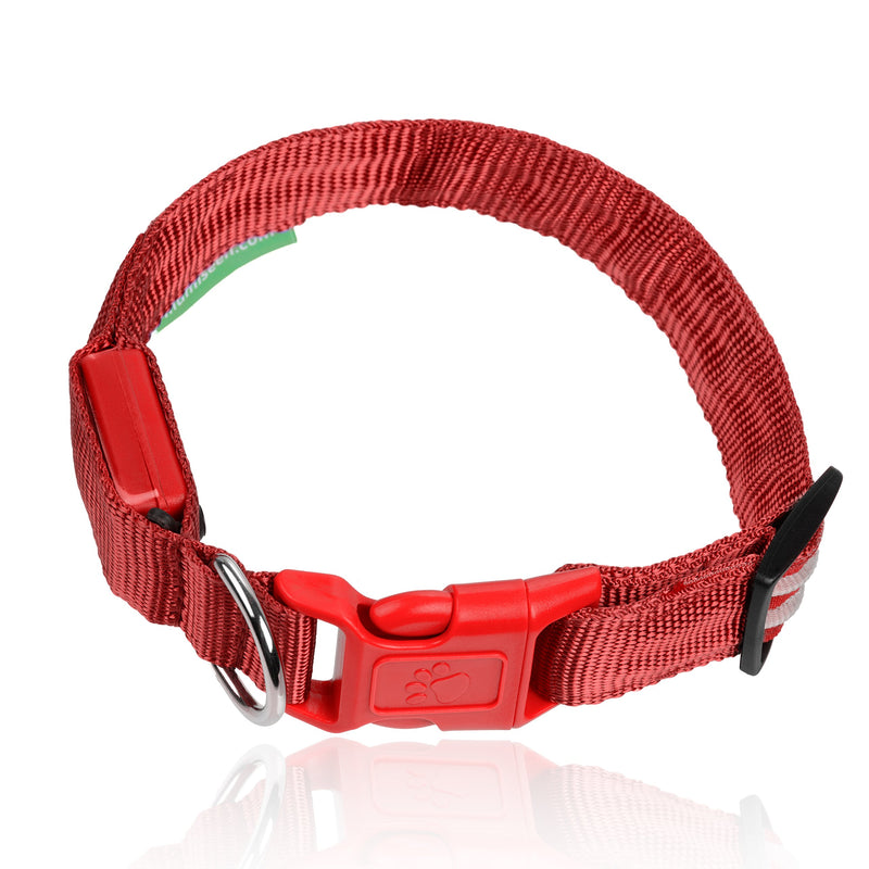ILLUMISEEN LED Dog Collar - USB Rechargeable - Available in 6 Colours & 6 Sizes - Makes Your Dog Visible, Safe & Seen - Red, Medium (16 – 20” / 41 – 53cm) Ruby Red Medium (16 – 20” / 41 – 53cm) - PawsPlanet Australia