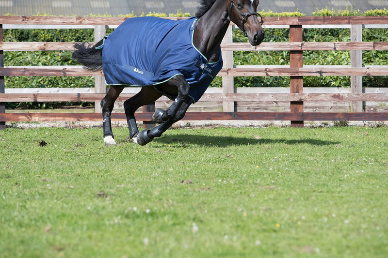 LeMieux Grafter Brushing Horse Boots for Schooling, Competition and Turnout - Front & Hind Legs - Equestrian Footwear Pair S Black - PawsPlanet Australia