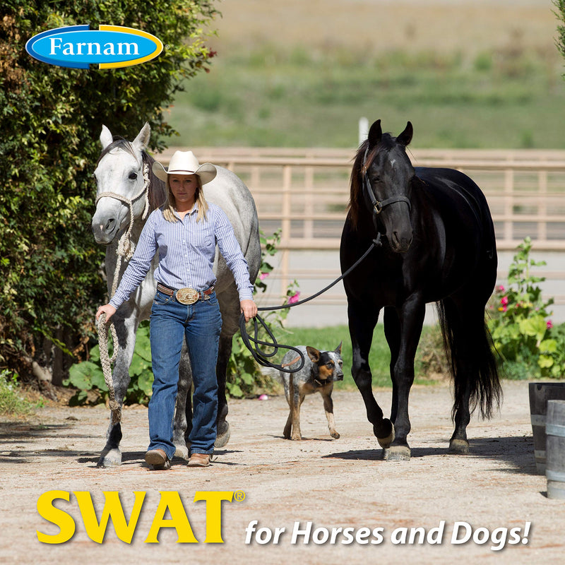 Farnam SWAT CLEAR Horse Fly Control for Horses, Ponies and Dogs, 7 ounce jar - PawsPlanet Australia