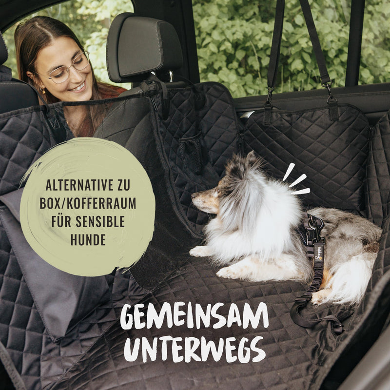 Rudelkönig dog belt for the car - adjustable seat belt - seat belt with cushioning for all dog breeds and car types black - PawsPlanet Australia