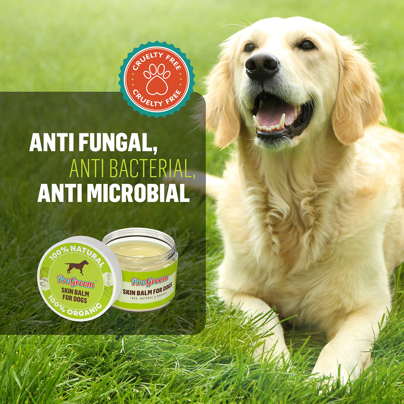 Dog Skin Balm for Itchy Skin - Natural and Organic Ointment for Dogs - Itchy Dog Balm Safe for Licking - PawsPlanet Australia