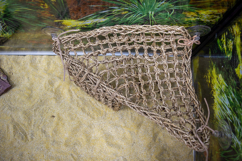 [Australia] - Penn Plax REP701 Lizard Lounger, 100% Natural Seagrass Fibers For Anoles, Bearded Dragons, Geckos, Iguanas, and Hermit Crabs Triangular 14 x 14 Inches Large 
