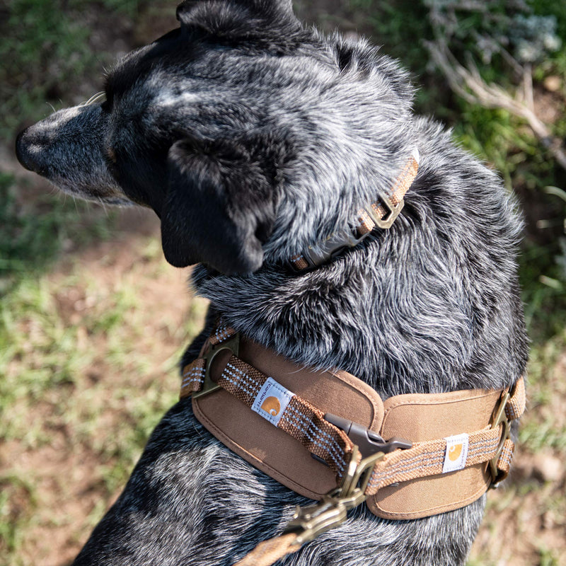 [Australia] - Carhartt Training Harness |  Premium Fully Adjustable Dog Walking Harness Medium Carhartt Brown 