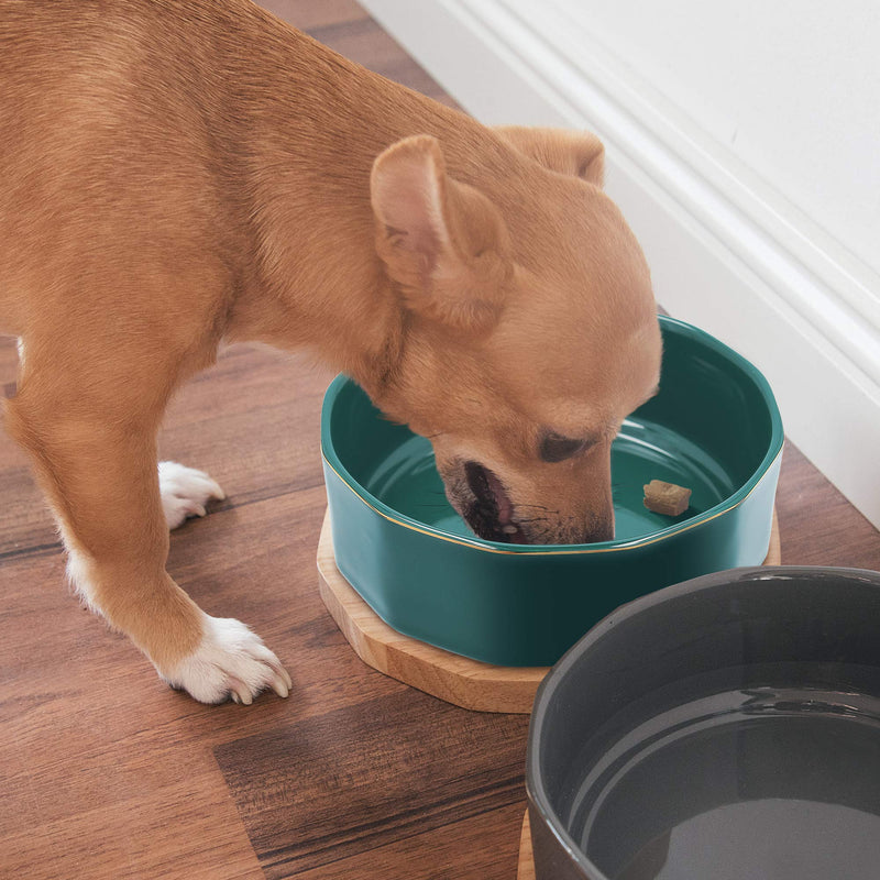 Navaris Ceramic Dog Bowl - Set of 2 800ml Water or Food Bowls for Pet Dogs and Cats with Non Slip Oak Wood Underlay - Ceramic Bowls - Grey, Petrol Dark Green - PawsPlanet Australia