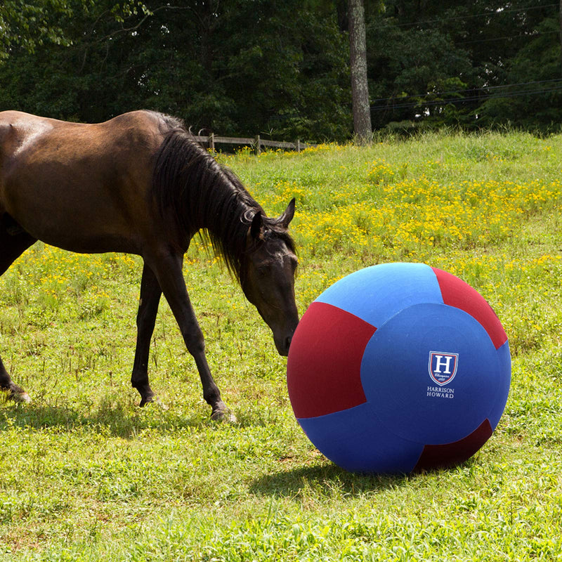 Harrison Howard Howdy Bally Horse Mega Ball Cover for Equine Fits 22" Mega Ball Blue/Red - PawsPlanet Australia