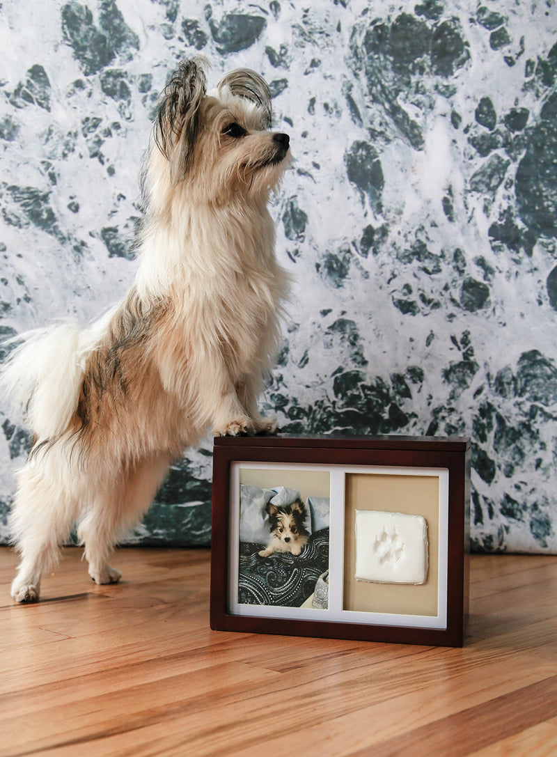Pearhead Dog Or Cat Paw Prints Pet Memory Box With Clay Imprint Kit, Perfect Pet Memorial Espresso - PawsPlanet Australia