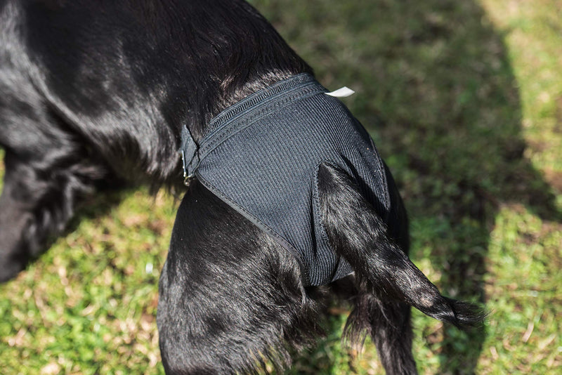 Mikki Dog Hygiene Pant Knickers and Period Pads for Female Bitches on Heat, In Mating Season - Large Hygiene Pants - PawsPlanet Australia