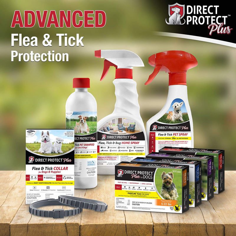 [Australia] - Direct Protect Plus 6 Month Supply Flea & Tick Control for Dogs, Small 5-22 lbs 24 Ounce Flea & Tick Shampoo 