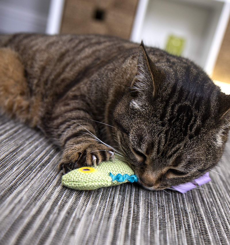 [Australia] - Petlinks HappyNip Catnip Cat Toys with Exciting Silvervine and Catnip Crinkle Chameleon 