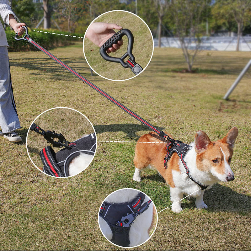 5FT Heavy Duty No Pull Nylon Dog Leash with Frog Clip, Highly Reflective Strong Pet Leashes with Durable Comfortable Safety Rubber Handle for Small Puppy & Medium Large Breed Dogs 1in x 5 ft Black with Red - PawsPlanet Australia