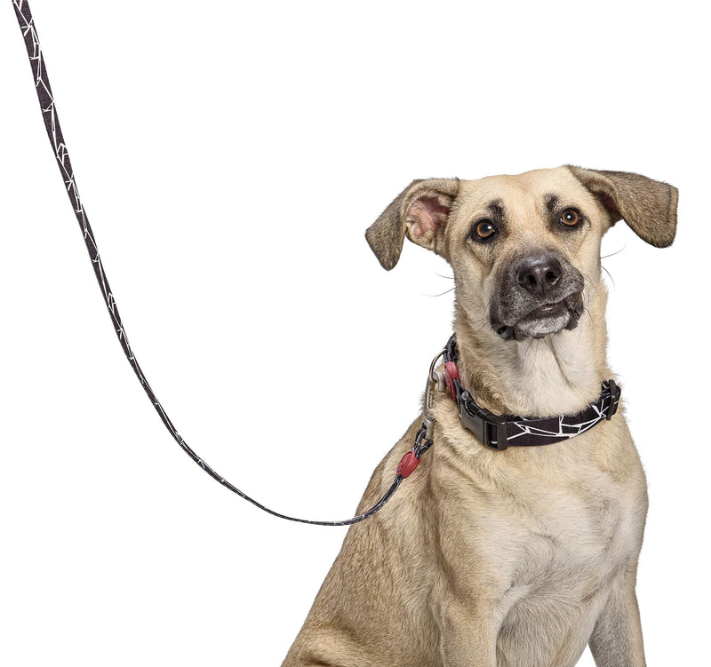 MORSO BITE Leash S/M - PawsPlanet Australia