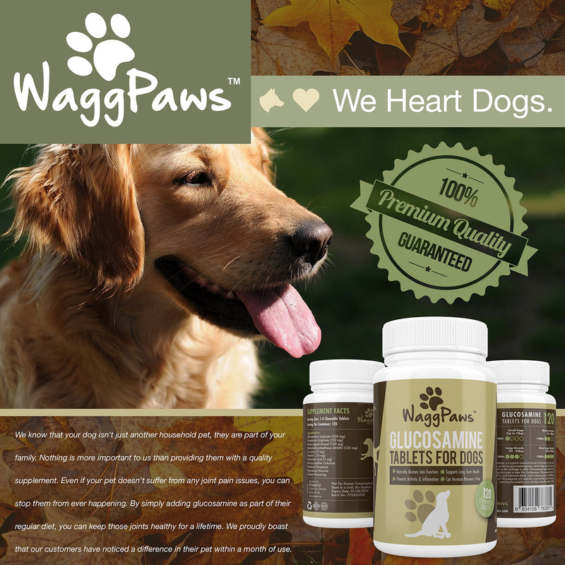 WaggPaws Dog Joint Supplement With Glucosamine For Stiff And Older Dogs - With Green Lipped Mussel, MSM, Hyaluronic Acid and Curcumin - Pet Supplies Dogs - 120 Chicken Flavoured Chewable Tablets - PawsPlanet Australia