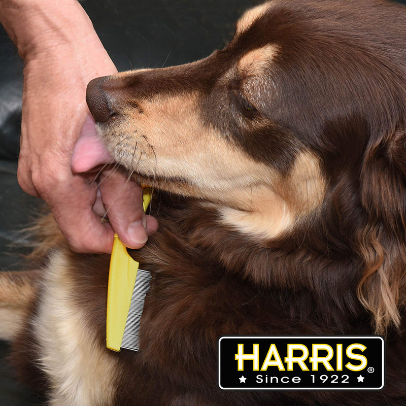 Harris Flea Comb- Flea, Nit and Lice Removal for Cats and Dogs - PawsPlanet Australia