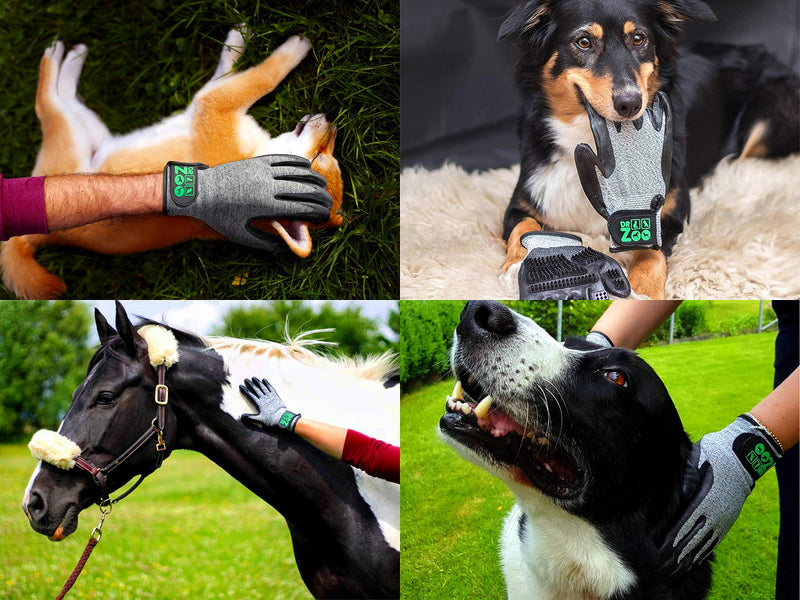 DR Zoo Gr. M pair of grooming gloves for grooming with gloves for dogs, cats and horses - PawsPlanet Australia
