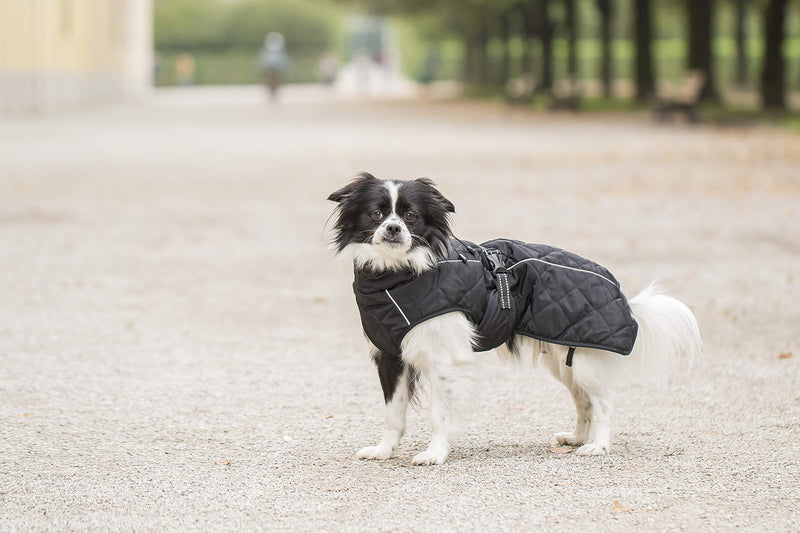 CHIARA Nelson Winter Coat for Dogs, One Size Black - PawsPlanet Australia