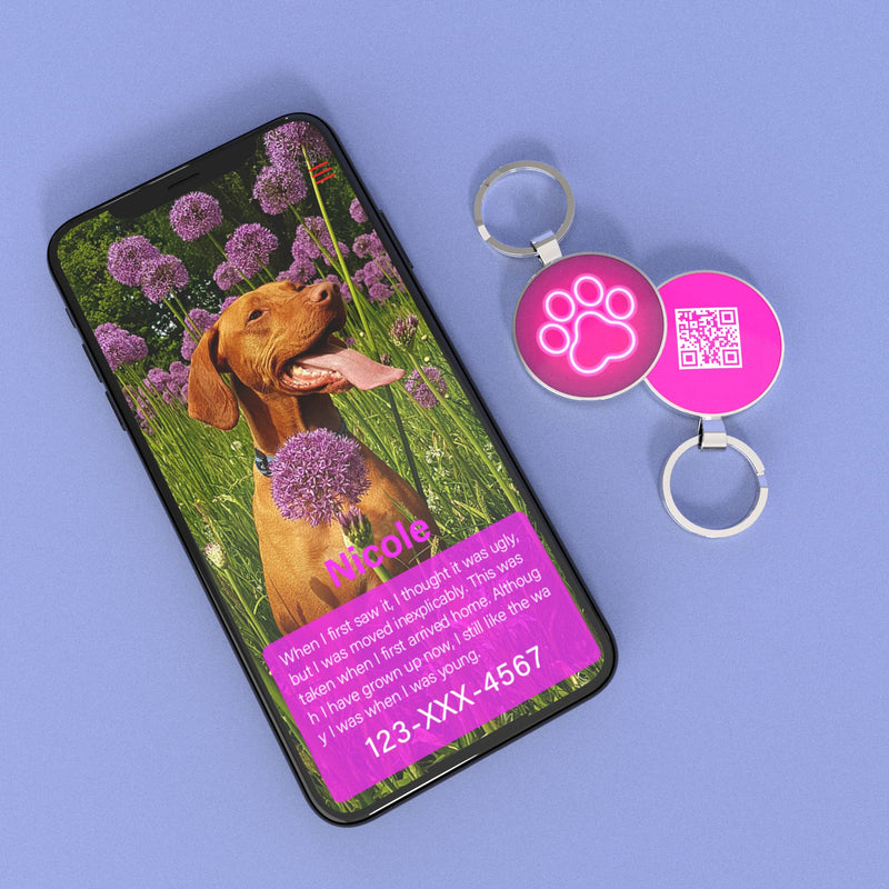 KEKID Dog Tags Personalized, Pet ID Tags, Dog Name Tag, with QR Code Links to Online Profile /Emergency Contact/Modifiable A2 - PawsPlanet Australia