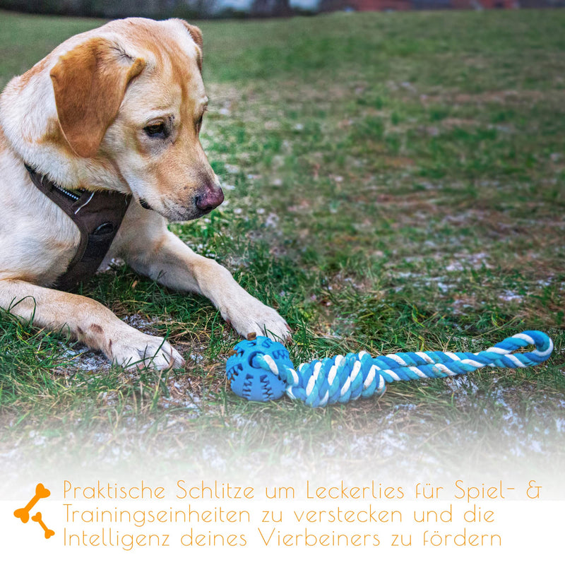 PAWDY dog rope with ball for fun and dental care - Robust dog toy for medium & large dogs - Chew toy with nubs made of natural rubber - Ball rope throwing toy for dogs (blue) Blue - PawsPlanet Australia