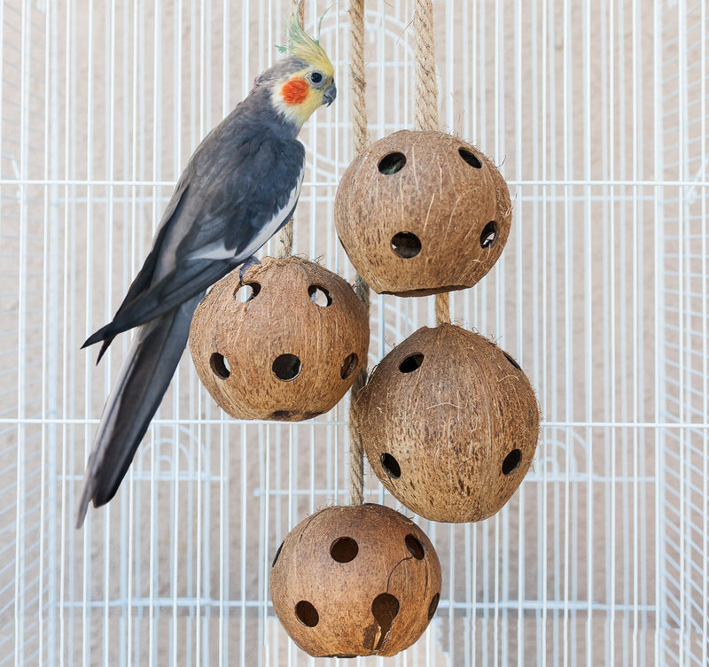 [Australia] - Pet Magasin Hand-Made Heavy Duty Bird Toys for Large Birds Parrot Cage Bite Toys African Grey Macaws Cockatoos 