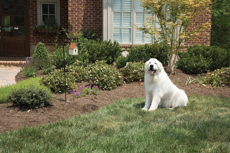 PetSafe Outdoor Bark Control, 15 m Range, Automatic, Anti-Bark, Ultrasonic Stimulation - PawsPlanet Australia