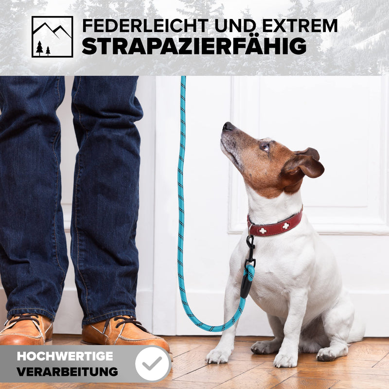 District North Reflective Dog Lead - 150cm Long Training Lead for Dogs - Comfortable Padded Lead Dog Leash - Class Dog Leads for Large Dogs (150cm, Blue) 150cm - PawsPlanet Australia