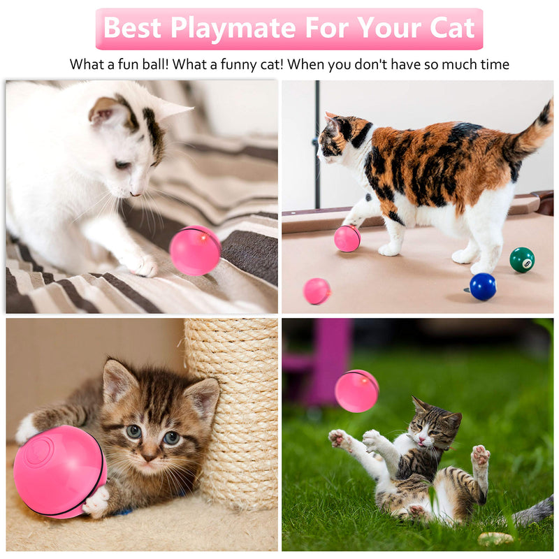 [Australia] - Domgoopet Interactive Cat Toys Ball, Self Rotating Cat Toy, Newest Version USB Rechargeable Pet Toy,Buit-in Spinning LED Light, Stimulate Hunting Instinct for Your Cat/Kitty/Kitten/Pets Pink 