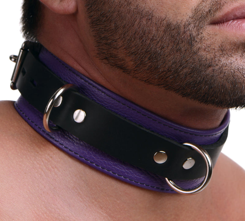 [Australia] - Strict Leather Deluxe Locking Leather Bondage Collar, Purple and Black 