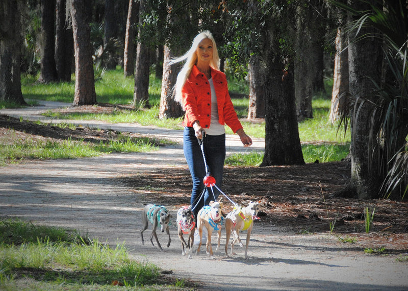 Multi Dog Leash Tangle Free (Up to 30 pounds Each) Patented Automatic Untangle The Leads When Your Dogs Change Positions, Dawg Bawl Leash is Adjustable for 2, 3 or 4 Dogs - PawsPlanet Australia