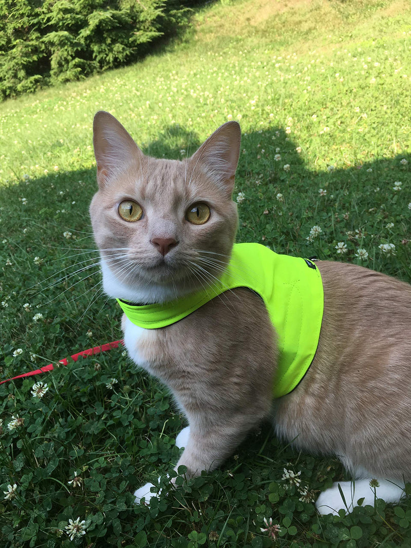 Mynwood Cat Jacket/Harness High Viz Kitten up to 8month - PawsPlanet Australia