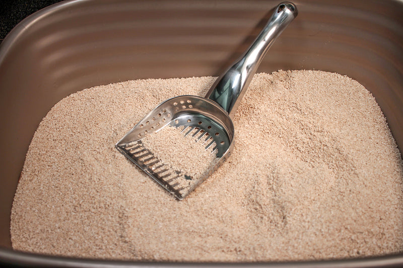 [Australia] - RSVP Endurance Stainless Steel Kitty Litter Scoop 
