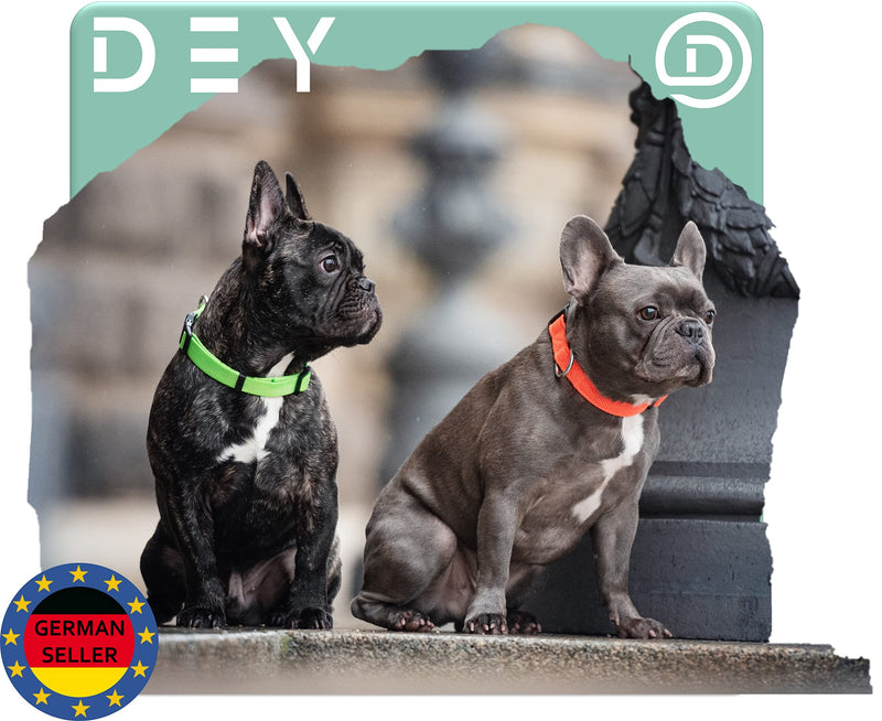 DEY - Premium dog collar nylon, adjustable, for small and large dogs, many colors and sizes, collar dog cat puppy, dog collars, cat collar, puppy collar, red, S [S] - 1.5 x 27 -37cm - PawsPlanet Australia