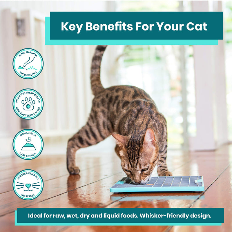 Lickimat Tuff Cat, Heavy-Duty Slow Feeders Lick Mat, Boredom Anxiety Reducer; Perfect for Food, Treats, Yogurt, or Peanut Butter. Fun Alternative to a Slow Feed Cat Bowl or Dish! Turquoise Playdate - PawsPlanet Australia