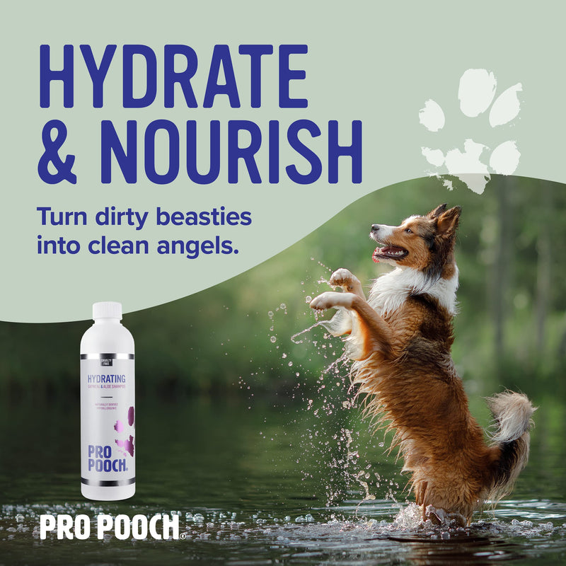 Pro Pooch Oatmeal Dog Shampoo - Natural & Hypoallergenic Formula for Sensitive Dogs w/Itchy Skin - Grooming Product w/Aloe Vera & Pro Vitamin B5 (250ml) 250 ml (Pack of 1) - PawsPlanet Australia