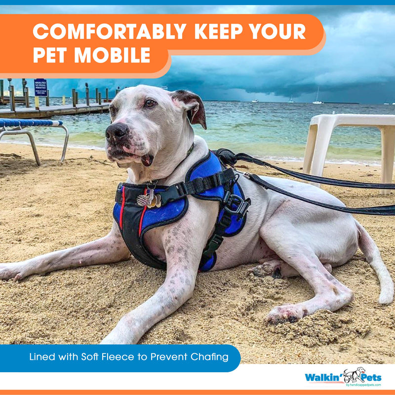 [Australia] - Walkin' Lift Combo Front Dog Harness for Mobility | Helps Dogs with Arthritis, Senior Dogs and Pets Recovering from Surgery Small 