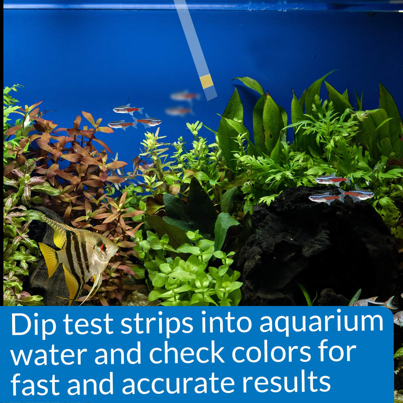 API AMMONIA TEST STRIPS Freshwater and Saltwater Aquarium Water Test Strips 25-Test Box, Model:33D - PawsPlanet Australia