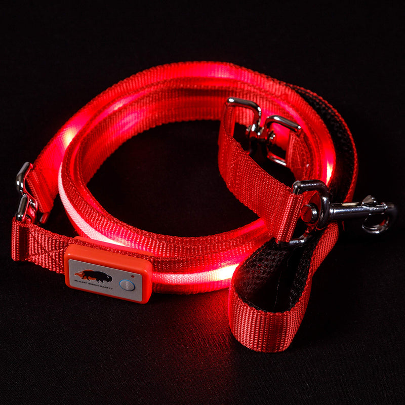 Blazin' Safety LED Dog Leash - USB Rechargeable Light, 6 Ft, Waterproof - Avoid Danger - Red - PawsPlanet Australia