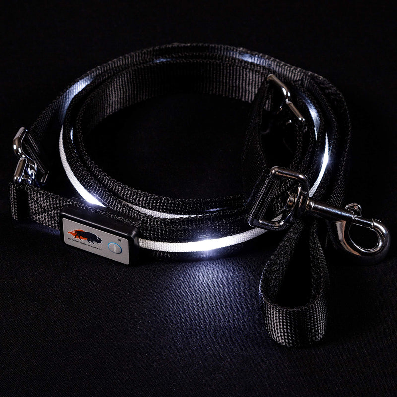 Blazin' Safety LED Dog Leash - USB Rechargeable Flashing Light Lead, 6 Ft, Water Resistant – Avoid Danger (Large, Black) - PawsPlanet Australia