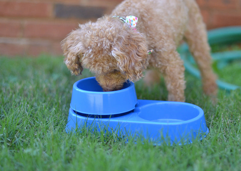 [Australia] - The 3-in-1 Ant Free Pet Dish Small Blue 