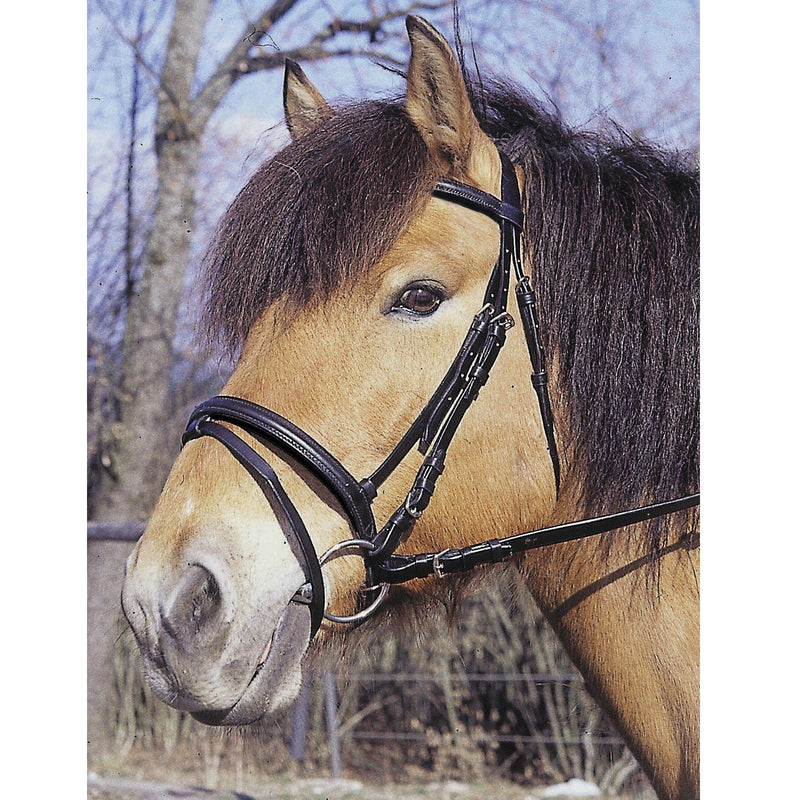 KERBL Standard bridle brown thoroughbred - PawsPlanet Australia